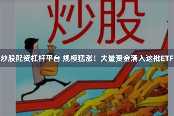 炒股配资杠杆平台 规模猛涨！大量资金涌入这批ETF