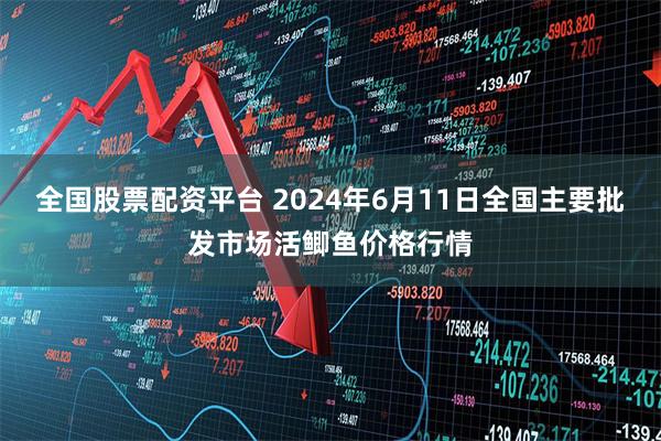 全国股票配资平台 2024年6月11日全国主要批发市场活鲫鱼价格行情